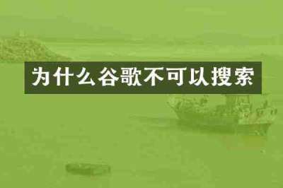 为什么谷歌不可以搜索