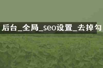 后台_全局_seo设置_去掉勾