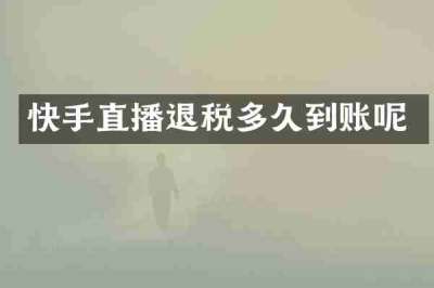 快手直播退税多久到账呢