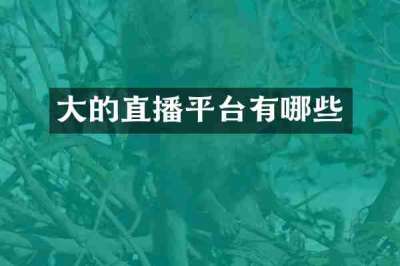 大的直播平台有哪些