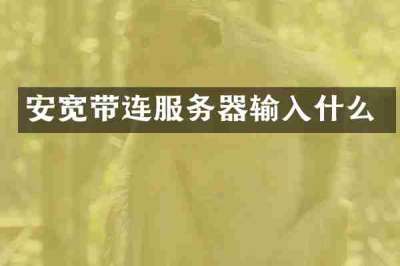 安宽带连服务器输入什么