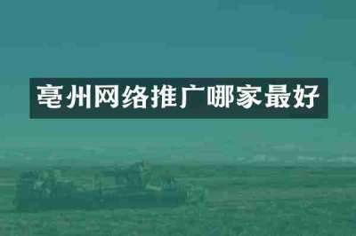 亳州网络推广哪家最好