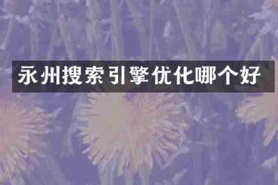 永州搜索引擎优化哪个好