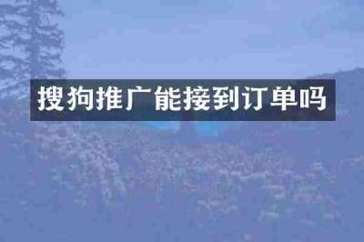 搜狗推广能接到订单吗