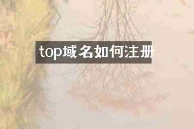 top域名如何注册