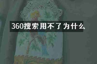 360搜索用不了为什么