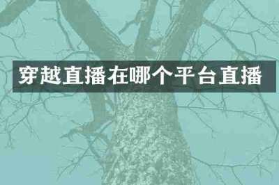 穿越直播在哪个平台直播