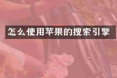 怎么使用苹果的搜索引擎