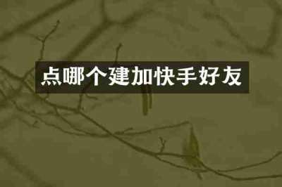 点哪个建加快手好友
