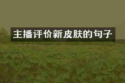 主播评价新皮肤的句子