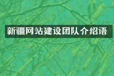 新疆网站建设团队介绍语