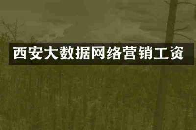 西安大数据网络营销工资