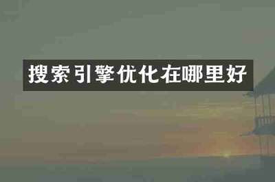 搜索引擎优化在哪里好