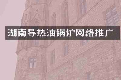 湖南导热油锅炉网络推广