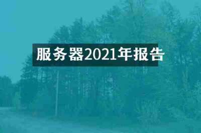 服务器2021年报告