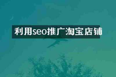 利用seo推广淘宝店铺