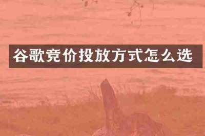 谷歌竞价投放方式怎么选