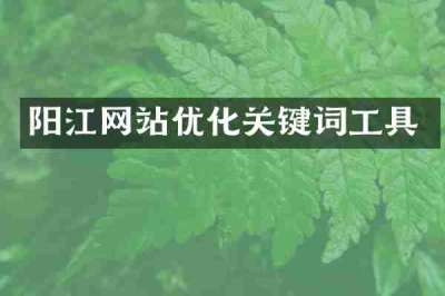 阳江网站优化关键词工具