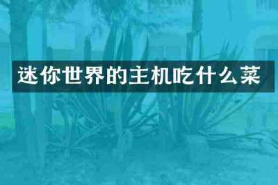 迷你世界的主机吃什么菜