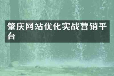 肇庆网站优化实战营销平台