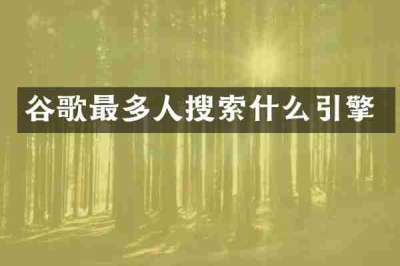 谷歌最多人搜索什么引擎