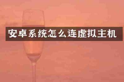 安卓系统怎么连虚拟主机