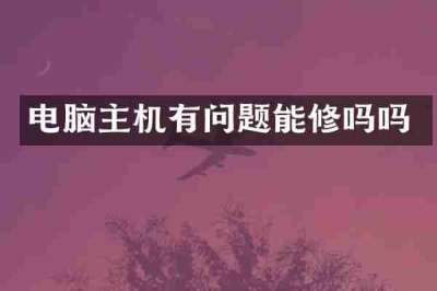 电脑主机有问题能修吗吗