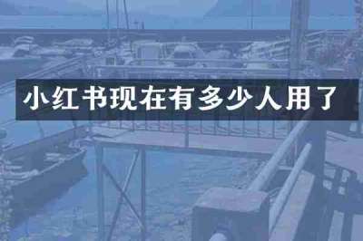 小红书现在有多少人用了