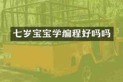 七岁宝宝学编程好吗吗