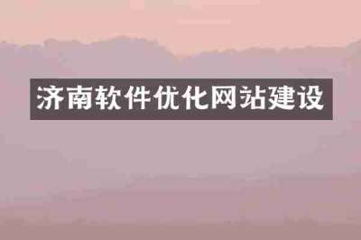 济南软件优化网站建设