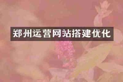 郑州运营网站搭建优化