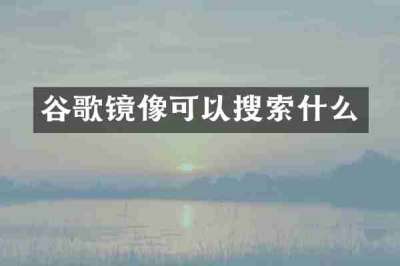 谷歌镜像可以搜索什么