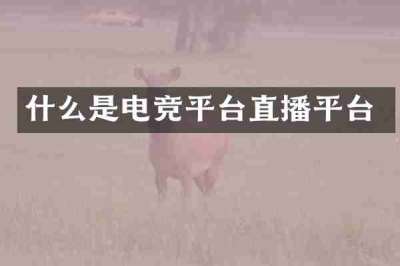 什么是电竞平台直播平台
