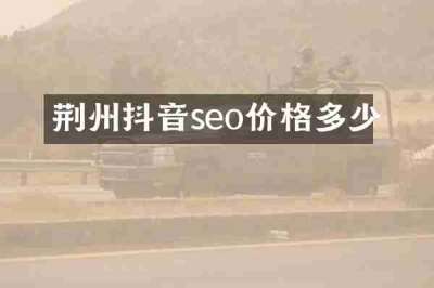 荆州抖音seo价格多少