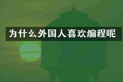 为什么外国人喜欢编程呢