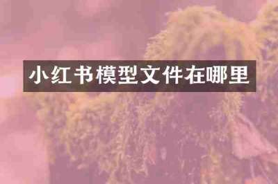 小红书模型文件在哪里