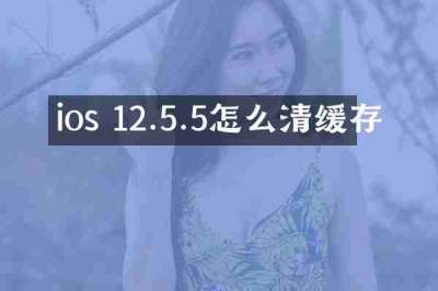 ios 12.5.5怎么清缓存