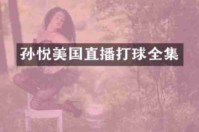 孙悦美国直播打球全集