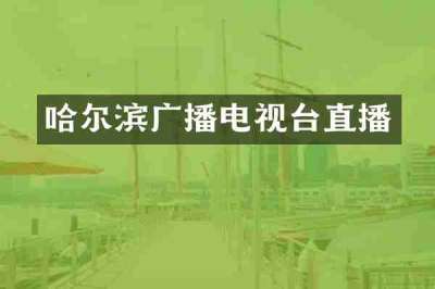 哈尔滨广播电视台直播