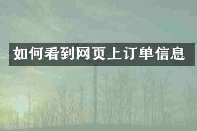 如何看到网页上订单信息