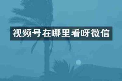 视频号在哪里看呀微信