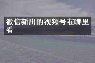 微信新出的视频号在哪里看