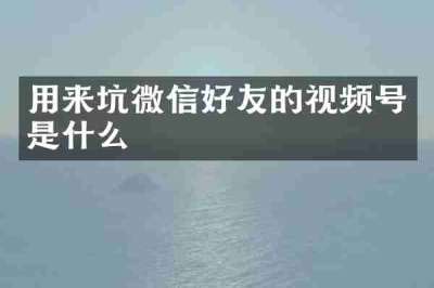 用来坑微信好友的视频号是什么