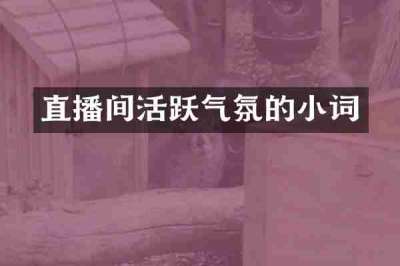 直播间活跃气氛的小词