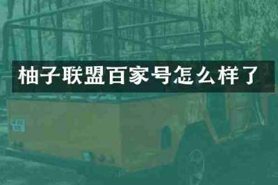 柚子联盟百家号怎么样了