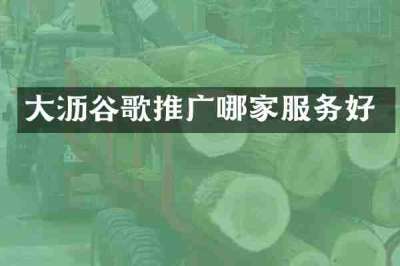 大沥谷歌推广哪家服务好