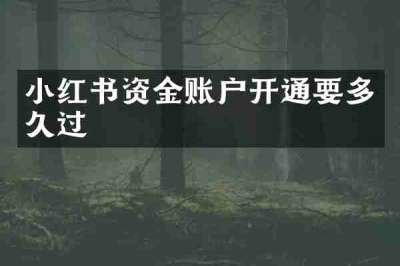 小红书资金账户开通要多久过