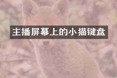 主播屏幕上的小猫键盘