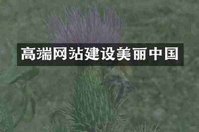 高端网站建设美丽中国