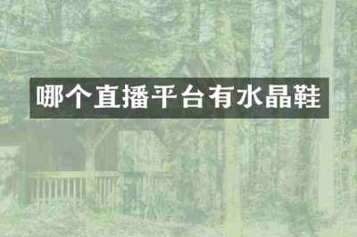 哪个直播平台有水晶鞋